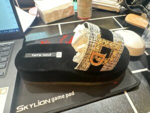 General PLL 070(CG) Stylish Comfort Shoes